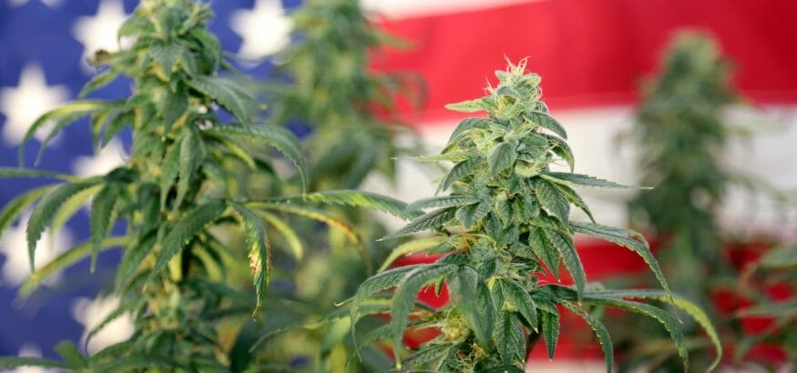 Immigration Consequences of Drug Offenses Immigration Lawyer 118-21 Queens Blvd, Forest Hills, NY 11375 Immigration Consequences of Drug Offenses Immigration Lawyer 118-21 Queens Blvd, Forest Hills, NY 11375