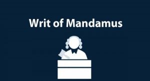 immigration delays mandamus